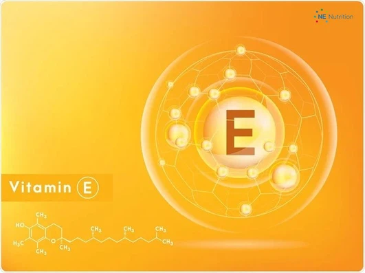 The Comprehensive Guide to Vitamin E Tocotrienols The Comprehensive Guide to Vitamin E Tocotrienols